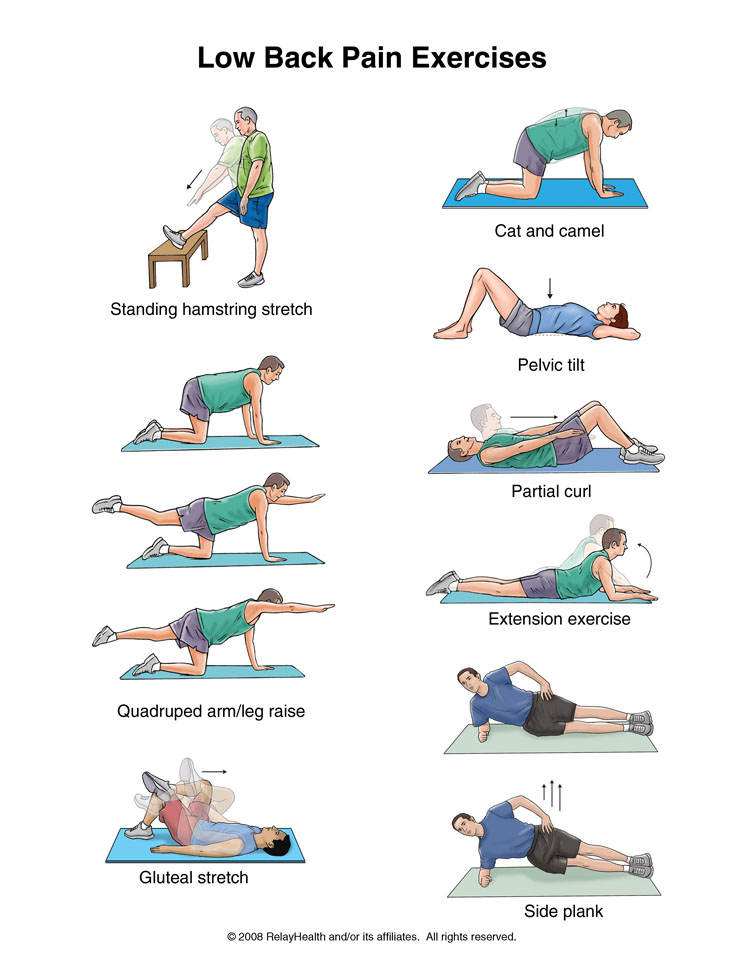 Low Back Pain Exercises